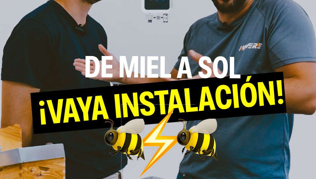 (Caso Real) INSTALACIÓN FOTOVOLTAICA EN LA TIENDA DEL APICULTOR Y ENTREVISTA